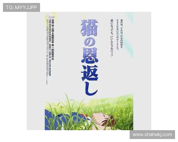 《猫的报恩》:不止是童话,更是我们内心深处渴望的温柔回响